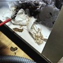 부산싱크대막힘 다녀온 후기! 싱크대업체 찾는다면 여기가 딱이에요