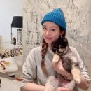 이진 이미지