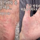 청년세탁 이미지