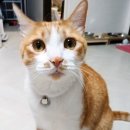 서울연광초등학교 이미지