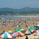 만리포해수욕장 세계일보