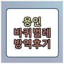 (주)한국약품 | 용인 바퀴벌레 방역 소독 후기 | 도배장판도 못할 만큼 번식한 실제 사례