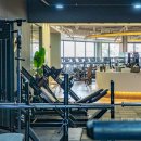 휘트니스 풀바디 이미지