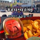 랜드마블 | 홍콩 디즈니랜드 퍼레이드 실물 감동... 아이언맨 어트랙션 &amp; 마블 버거 솔직 후기