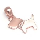 도그비앤비 이미지