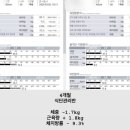 히트앤핏 이미지