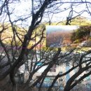 대웅목장 이미지