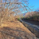 석대천로 이미지