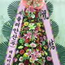 셰플러안산(주) 이미지