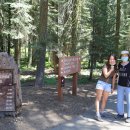 크레센트 (CRESCENT) 이미지