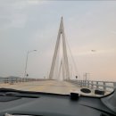 드림아인스빌마트 | 2025년 전라남도 무안 도리포유원지 낚시 여행 일대기