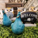 부엉이샵 이미지