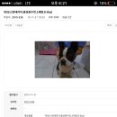 화원연합동물병원 이미지