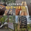 치유의 숲 | 동두천 자연휴양림 놀자숲 슬라이드, 데크로드, 치유의숲 체험 후기