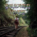 웰리스요가원 네이버블로그