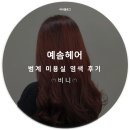 범계미용실 추천 예솜헤어 :: 여자 염색 후기 !