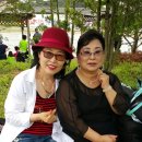 동그라미펜션 이미지