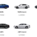 현대자동차우