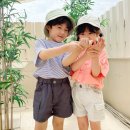 마이카고