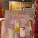 왕가탕후루 사고 망고 가격 내돈내산