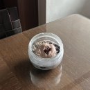 천원 아침밥 먹으려고 시험 빨리 끝내고 나옴