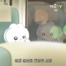 홍타하우스