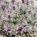 동강농장 이미지