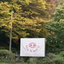 나이스미튜 | 광주 근교 담양 맛집 NTMU 나이스투미튜 캠핑분위기
