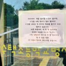수택초등학교(병설) 네이버블로그