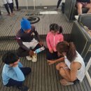 스노링케어 | 아이랑 다녀온 세부 골드호핑투어 100% 만족 내돈내산 찐 후기