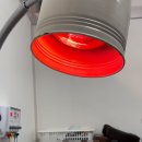 전주목민정한의원 이미지