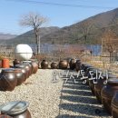 오덕전통된장 이미지