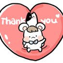 미보라 이미지