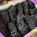 방산농장 이미지