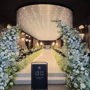 정원센텀스카이 | 센텀사이언스파크웨딩홀 리뉴얼 후 투어 후기ㅣ 26년 하반기 ~ 27년 상반기 견적공유