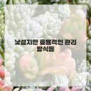 희망한의원 이미지