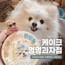 오늘도 멍멍 | 쪼꼬 10살 생일파티｜멍멍과자점 미니케이크 내돈내산 후기