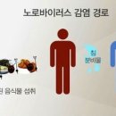 친구한테 노로바이러스 옮음 이미지