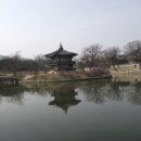 향정원 이미지