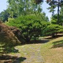 분수공원 다목적경기장 이미지