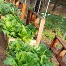 중랑구 자원재활용 선별센타 이미지