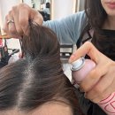 햇빛안마클리닉 | 김포 미용실 톤앤매너 걸포자이점 지안디자이너 상한 머릿결 클리닉 관리 후기