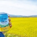 호피홀리데이 이미지