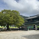 독천초등학교 | [2025 영암숲숲환경영화제] 서포터즈 숲지기 후기, 전라남도 영암을 다녀오면서