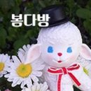 클레이세상 이미지