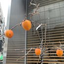 단비아마데우스 이미지