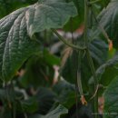 순지농장 이미지