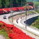 섬진칼국수 이미지