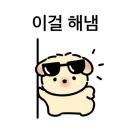 퍼피스프링 강서점 이미지