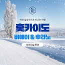 주식회사 스타투어 | [삿포로] 삿포로 비에이투어 업체 종류 및 특징,가격 비교